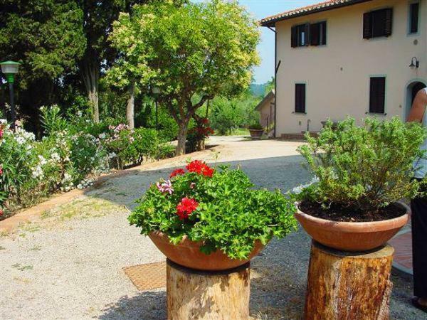 Fattoria Casanova Villa Палая Екстериор снимка