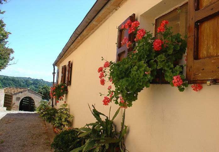 Fattoria Casanova Villa Палая Екстериор снимка
