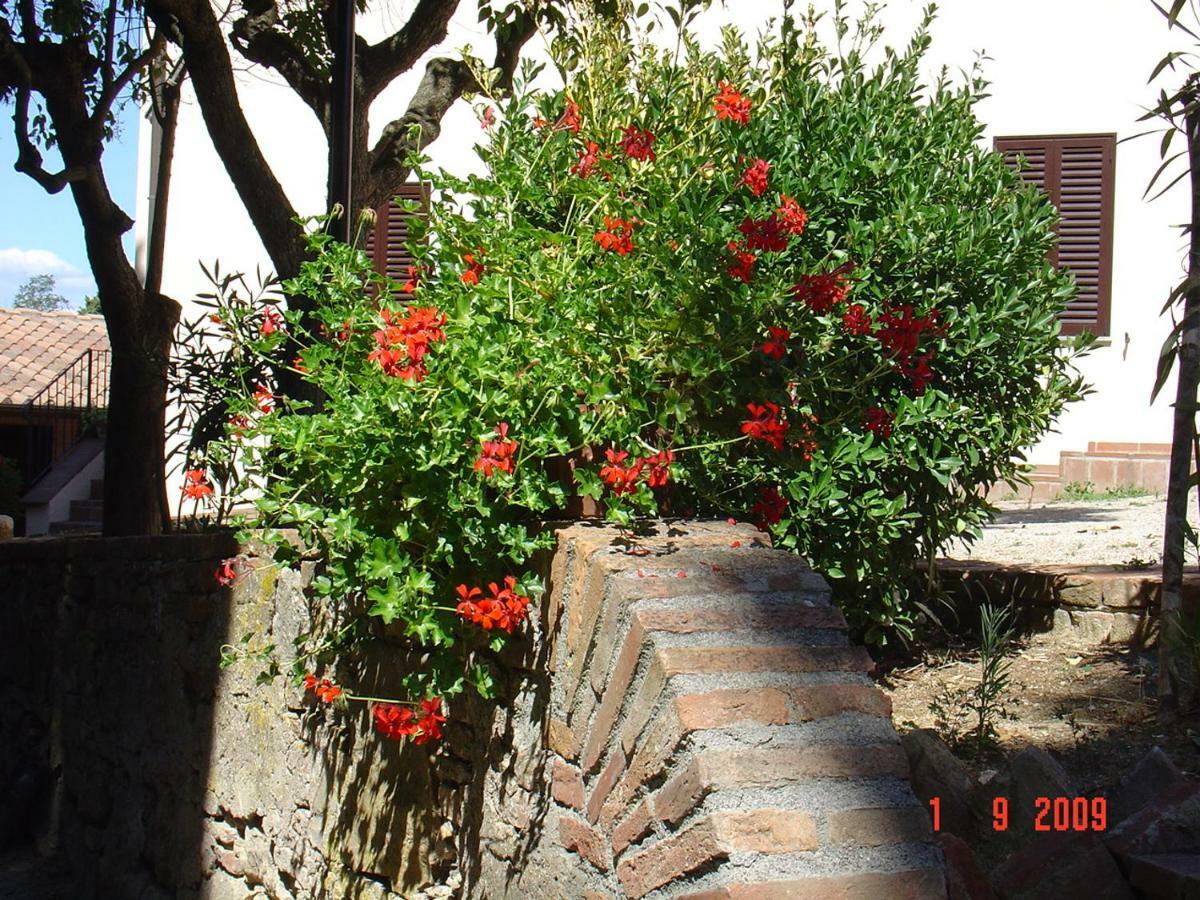 Fattoria Casanova Villa Палая Екстериор снимка
