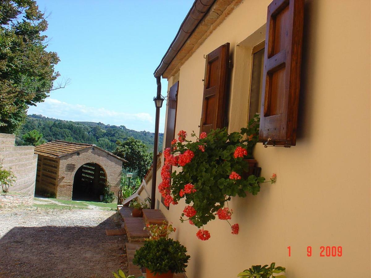 Fattoria Casanova Villa Палая Екстериор снимка